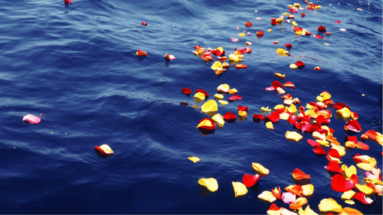 海扉の代行委託散骨プラン