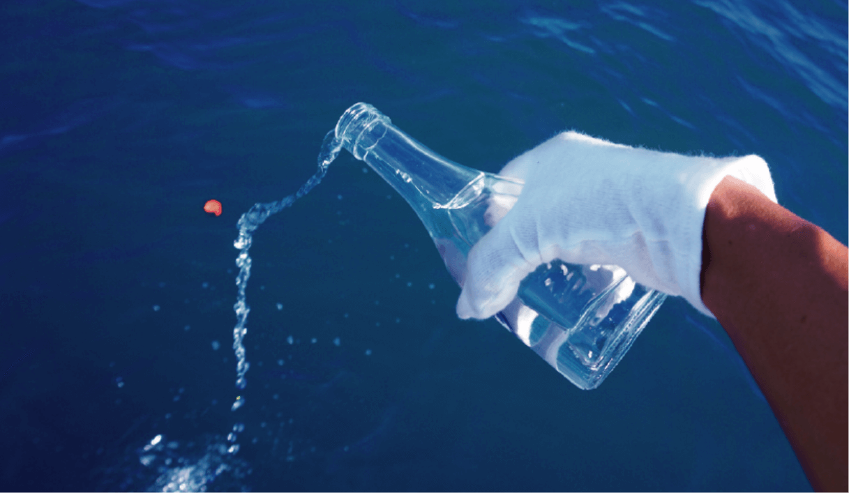 海扉の合同散骨プラン