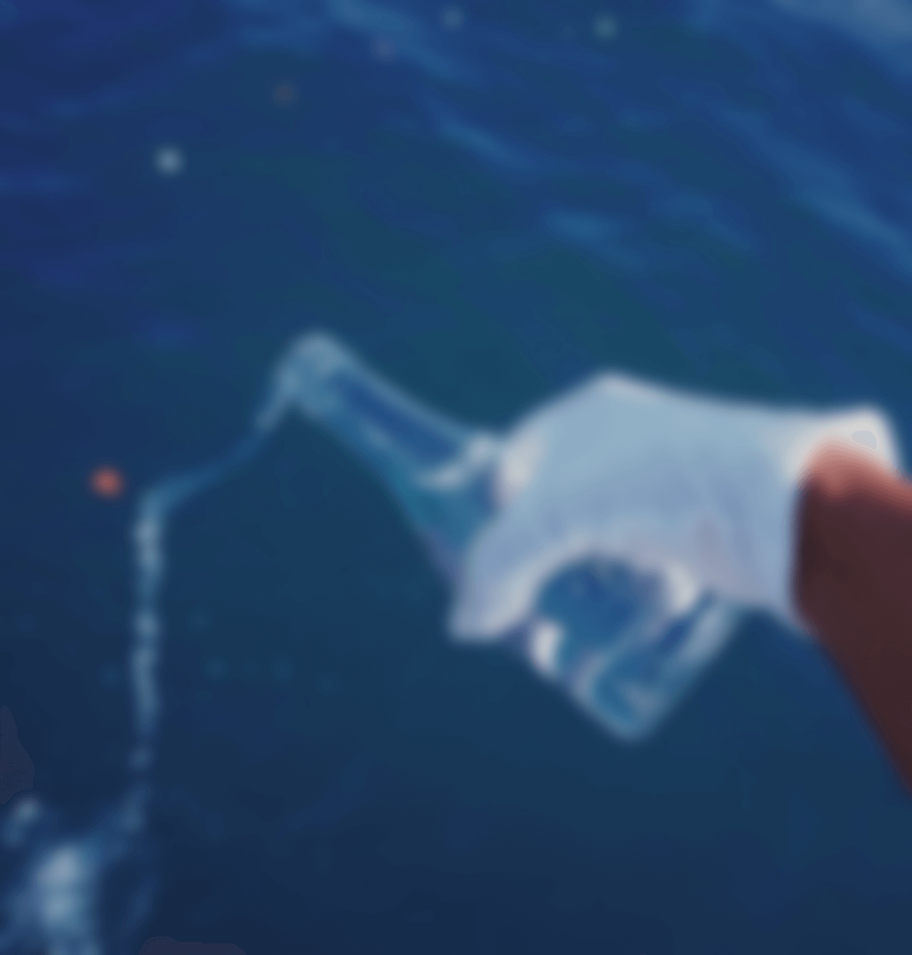 散骨海域と出航場所